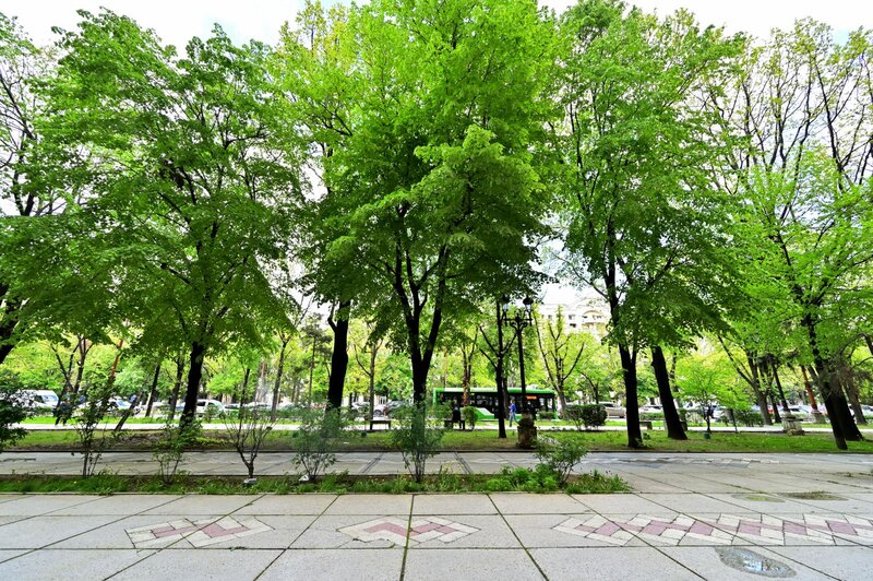 Unirii 12- Fantani vedere Mitropoliei, Centrul Civic, Palatul Parlamentului